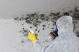 Best Comprehensive Air Testing for Mold Contaminants  in Heartland, TX